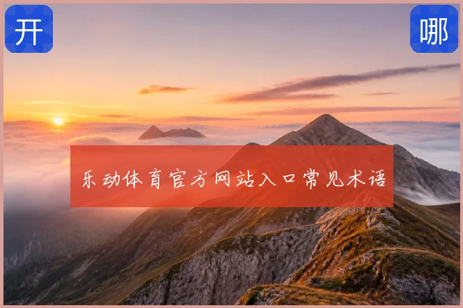 乐动体育官方网站入口常见术语